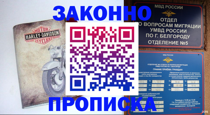 прописка для школы в Черногорске